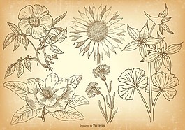 线条花朵矢量素材