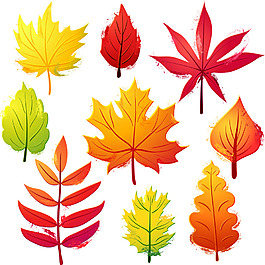秋天紅葉裝飾圖案