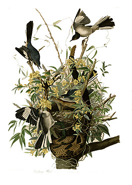 復古樹枝小鳥圖案