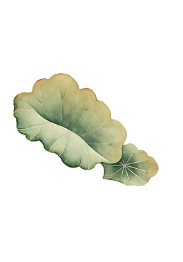 復古色荷葉圖案元素