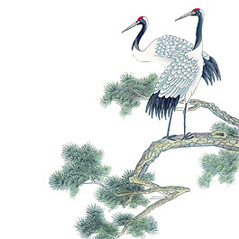 水彩松枝上的白鶴圖案