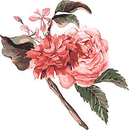 紅色花朵圖案