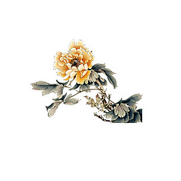 精美水彩花枝圖案