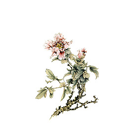 復古水彩花枝圖案元素
