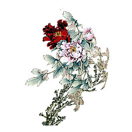彩色花草圖案元素
