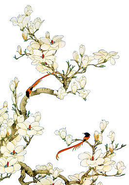手繪彩色花鳥圖案