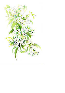古风花卉图案元素