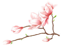 精美粉色花枝圖案元素