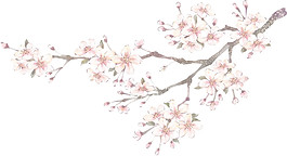 簡約水彩花枝圖案元素