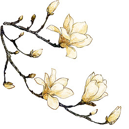 古典白玉蘭花枝圖案
