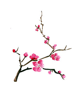 玫紅色花枝圖案元素