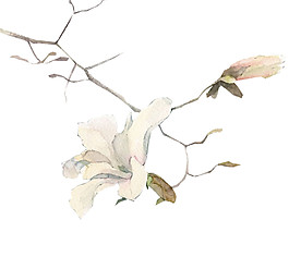 簡約古風(fēng)花卉圖案元素