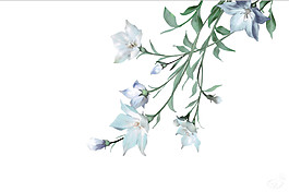 白色古風(fēng)花朵圖案