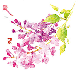 紫色彩繪花卉圖案
