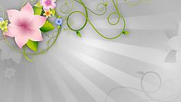 夢(mèng)幻優(yōu)雅的動(dòng)態(tài)花紋視頻素材