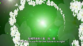 清新淡雅花朵动态视频素材