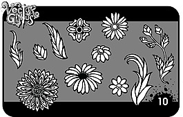 矢量素材雛菊