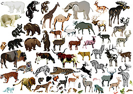 動物世界矢量素材
