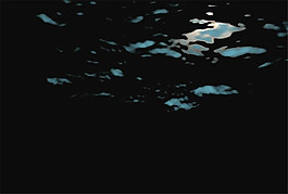 海鷗潛水動態(tài)視頻素材