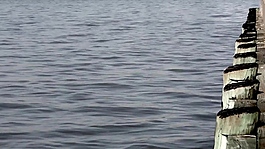 实拍海边自然风景视频素材