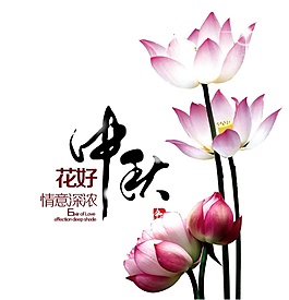 花好中秋荷花节日元素