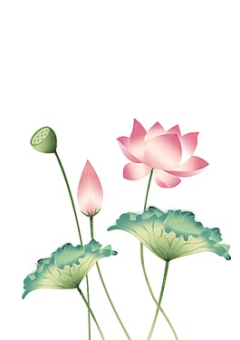 簡(jiǎn)約荷花中秋節(jié)日元素