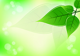 韓式夢(mèng)幻健康環(huán)保畫(huà)冊(cè)海報(bào)矢量背景素材