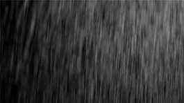 細雨特寫動態視頻素材