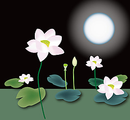 夜色盛開荷花背景