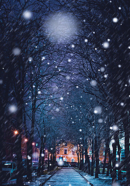 雪花大樹冬季H5背景素材