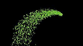 綠葉飄動轉場視頻特效