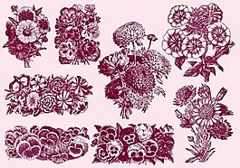 菊花矢量素材