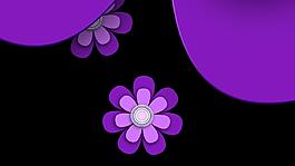紫色花朵動(dòng)態(tài)轉(zhuǎn)場(chǎng)視頻素材