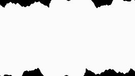 5例簡(jiǎn)約黑白轉(zhuǎn)場(chǎng)視頻特效