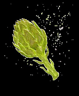 水彩蔬菜素材