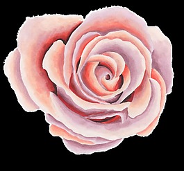 裝飾花朵素材免扣素材