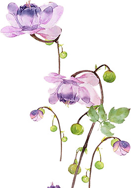 粉色花朵花藤素材圖片