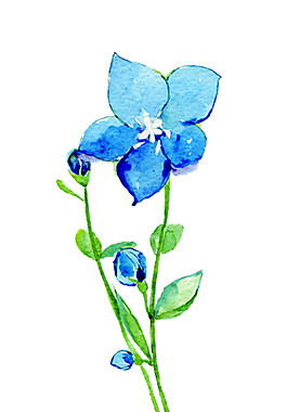 手繪唯美藍(lán)色花朵元素素材
