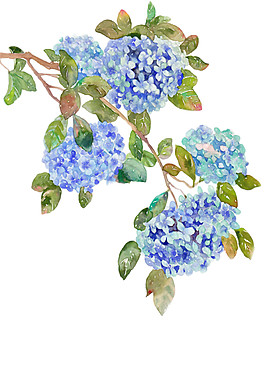 樹枝花朵素材圖片
