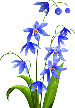 紫色蘭花素材圖片