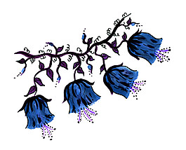手绘蓝色花朵素材图片