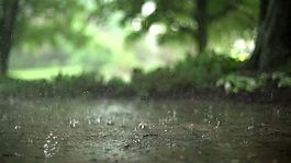 超慢運(yùn)動(dòng)雨滴