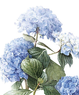 紫色花朵綠葉素材圖片
