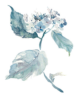 水墨花朵背景圖素材