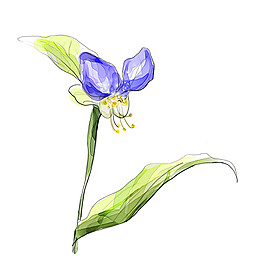 唯美蓝色鲜花背景图