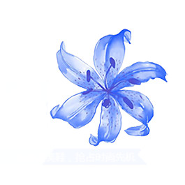 盛開的藍(lán)色花朵素材圖片