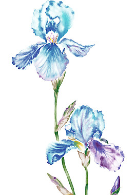 手繪唯美藍(lán)色花朵素材圖片