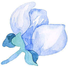 手繪卡通花朵素材圖片