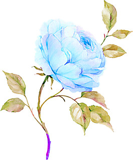 手繪藍(lán)色花朵素材圖片