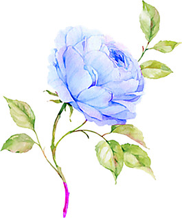 手绘一束鲜花元素素材